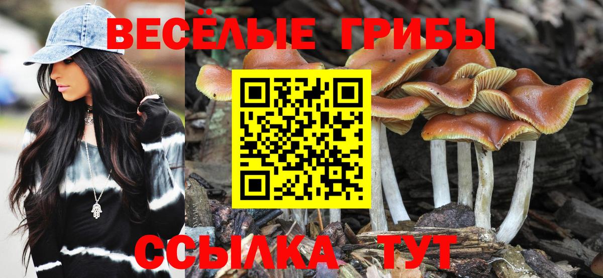 Псилоцибиновые грибы MAGIC MUSHROOMS Елизово