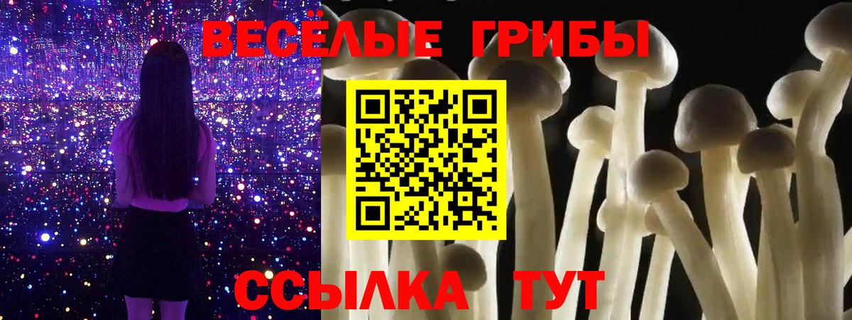 Псилоцибиновые грибы ЛСД  Вход с VPN  закладки  Елизово 